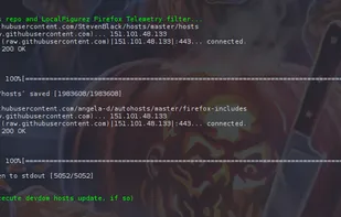Terminal output during install or update.