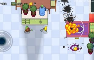 Spiders attack in a kitchen