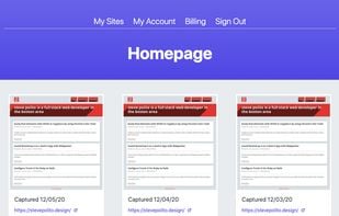 Each website can have multiple pages to monitor.