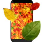 Autumn Leaves 3D Live Wallpaper icon