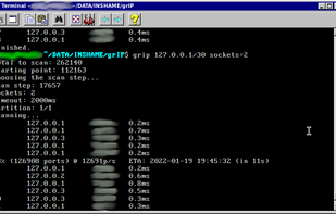 grIP - Shuffling TCP scanner screenshot 1