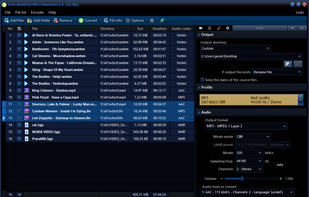 Pazera Free WebM to MP3 Converter screenshot 2