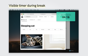 Tomato 2 screenshot 3