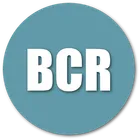 Bandcamp Recommender icon