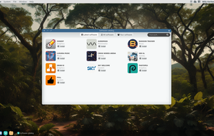 Friend OS 1.3 with the Software catalog app.