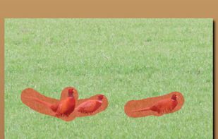 Easy Eraser screenshot 3