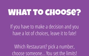 Decision Roulette screenshot 1