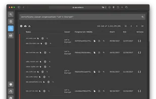 Netlas.io screenshot 1
