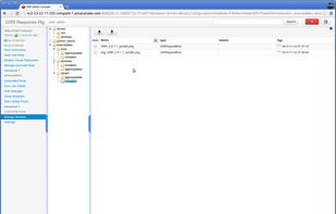 GRR Rapid Response screenshot 2