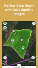 Monitor Crop Health with Daily Satellite Images