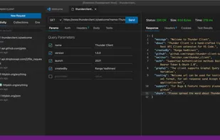 Thunder Client Main Interface