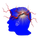 vym icon
