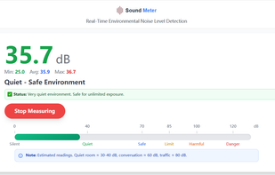 Real Time Sound Meter screenshot 1