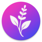 Tulsi Gallery icon
