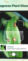 Plant identifier - Find Insect screenshot 2
