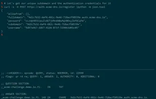 acme-dns screenshot 1