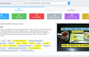 TubeResearcher screenshot 1