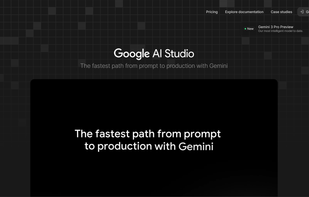 Google AI Studio screenshot 1