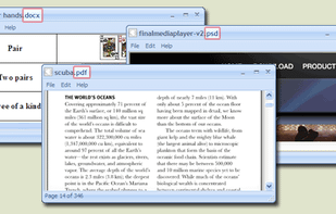 Several Formats Open