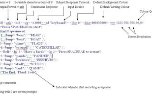 DMDX screenshot 2