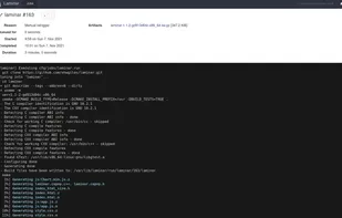 Job execution result