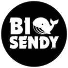 BigSendy icon