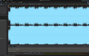 AudioDirector screenshot 3