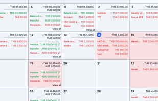 Budget Vision screenshot 1