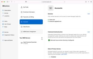 Apple Business Manager screenshot 1