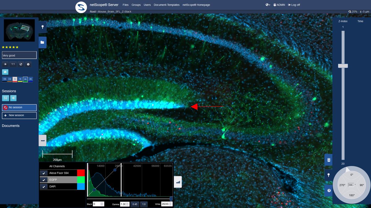 netScope® Server App Reviews, Features, Pricing & Download AlternativeTo