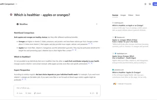 You.com screenshot 1