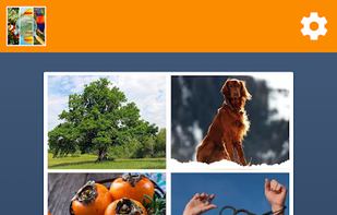 Word Connect screenshot 1