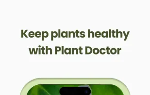 PLNT - Plant & Tree Identifier screenshot 3