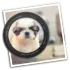 Photo Blur FX icon