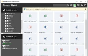 RecoveryRobot Partition Recovery - Thumbnail View