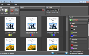 eDoc Organizer Main Window