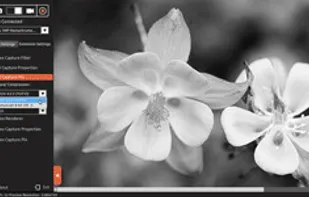 YUYV Format in Linux Webcam Software