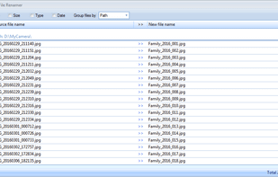 Rapid File Renamer screenshot 1