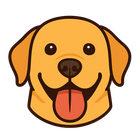ProxyBridge icon