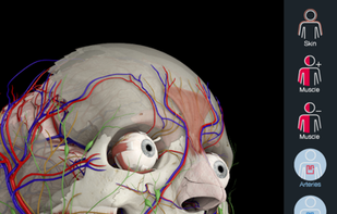 Essential Anatomy 5 screenshot 1