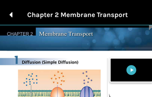 Becker USMLE GuideMD and QMD screenshot 1