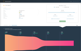 Webtrends Optimize screenshot 1