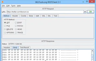 WizTools RESTClient screenshot 2