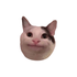 Notescast icon