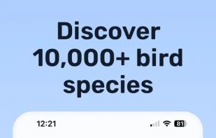Birda - bird ID & Birding screenshot 3