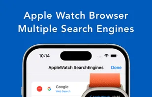 Search Ace screenshot 2