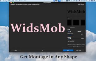 shape montage