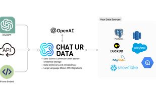 Chat Ur Data screenshot 1