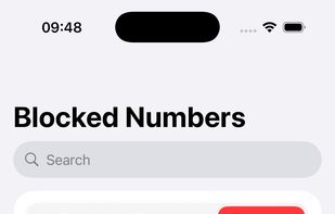 Blydenti screenshot 2