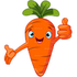 Send A Carrot icon